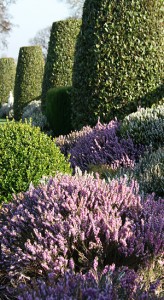 Soft landscaping by Evergreen Wales