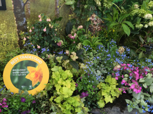 Tradestand Award for EvergreenWales at the RHS Show in Cardiff 2015