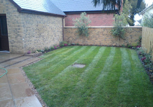 Home garden after turfing grass
