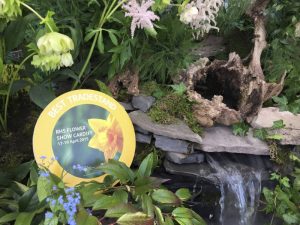 Evergreen Wales Award Winning Landscapers in Garden Design in South Wales