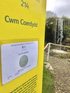 Cwm Caerdydd Garden Design by Evergreen Wales, Award Winning Garden Design