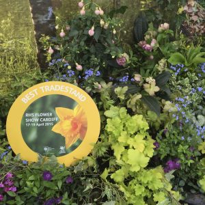 Evergreen Wales landscape garden award winner for 2015