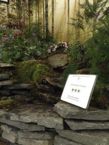 Evergreen Wales landscape garden award winner for 2014