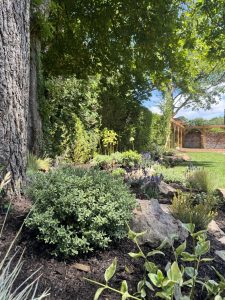 Custom Planting Scheme in Cardiff