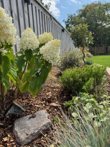 Bespoke planting in Ponthir near Newport
