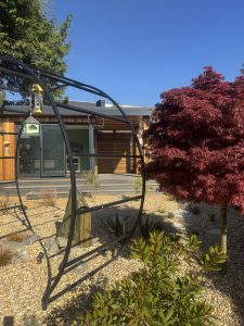Moon gate with slate water feature in a Cardiff garden with bespoke planting in Cardiff